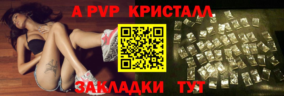 А ПВП СК КРИС Шахты