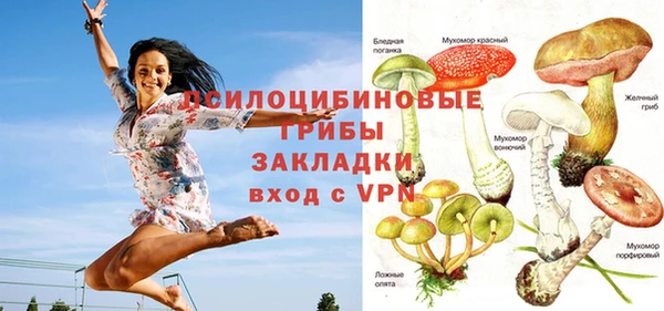 марки lsd Бердск